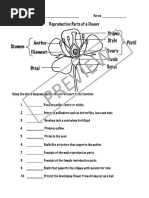 Reproductive Partsofa Flower Preview