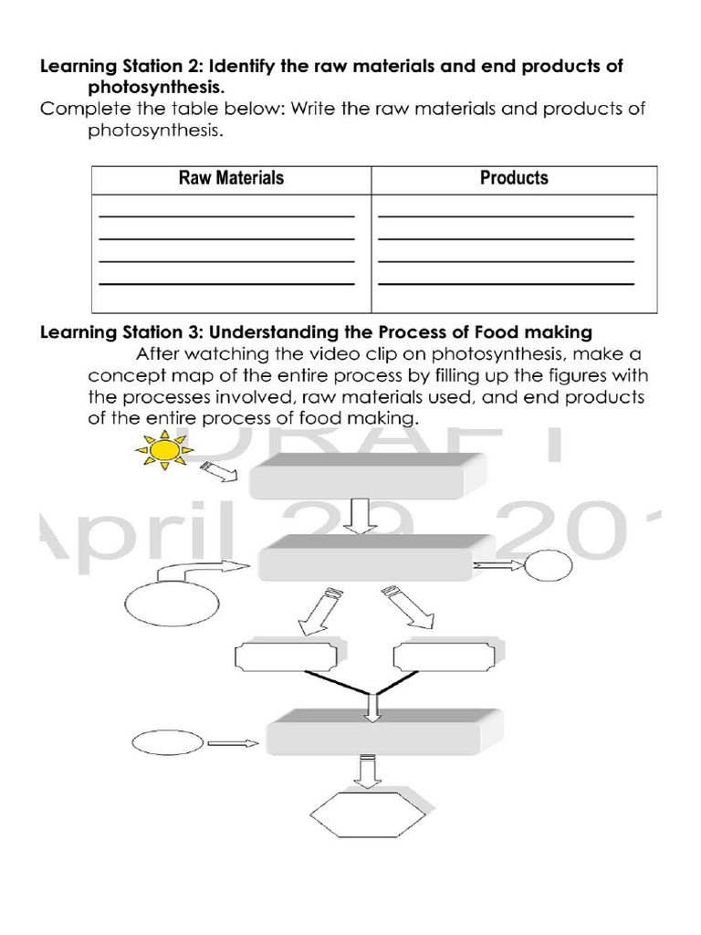 Photosynthesis Worksheet | PDF