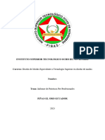 Informe de Practicas