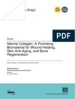 Marine Collagen