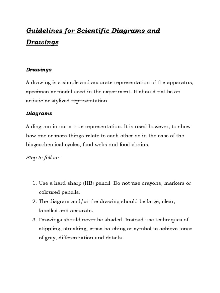 Completed Authorship Guidelines For Scientific Papers