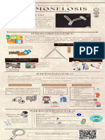 Inforgrafia Salmonella