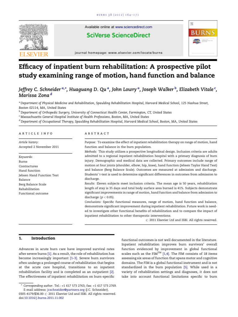 Efficacy Burn Rehabilitation PDF Physical Therapy Hospital