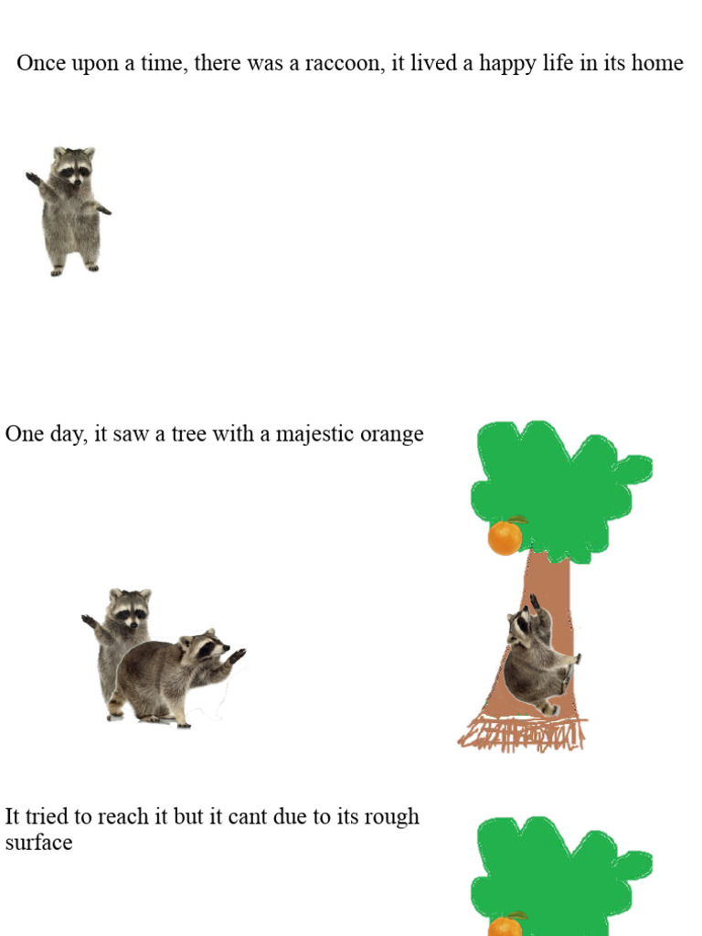 Raccoon Story PDF