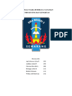 Proposal Usaha Budidaya Tanaman