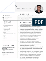 Software Support Engineer PDF