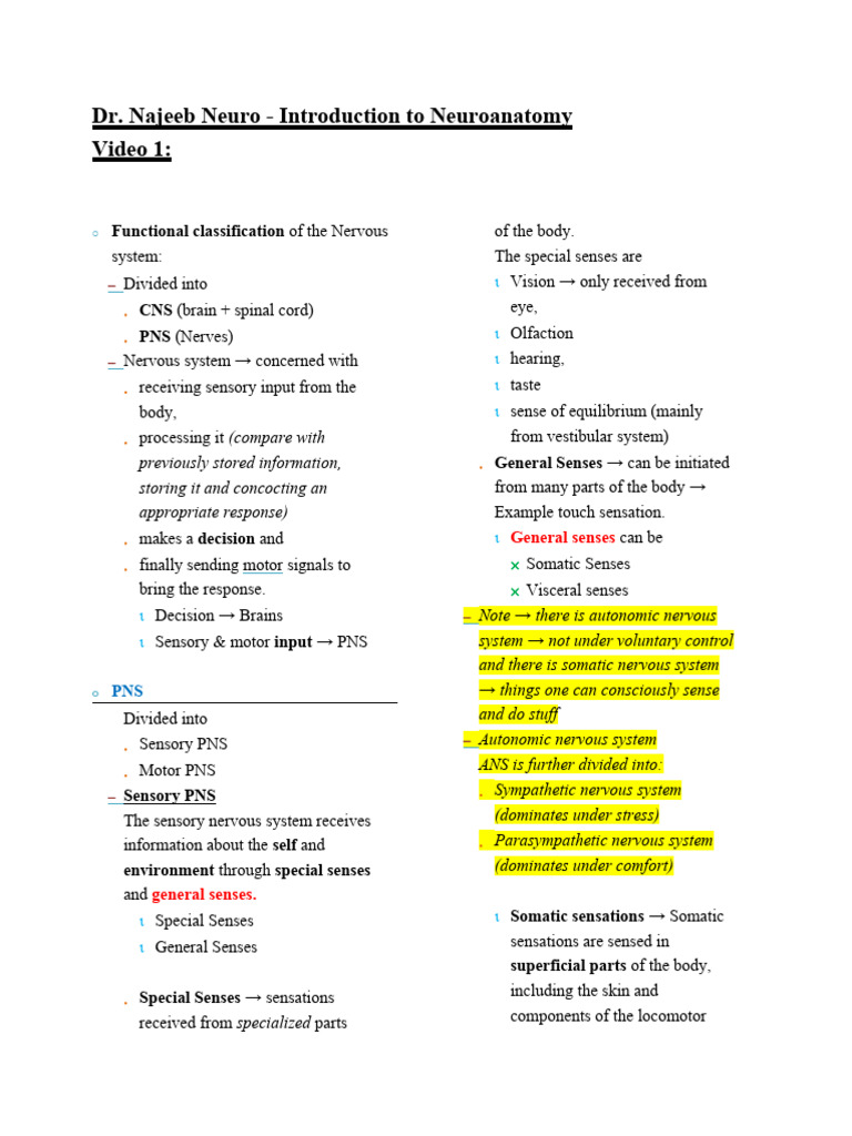 Introduction to Neuroanatomy Basics | PDF | Central Nervous System ...