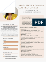 CV - Romina Castro Completo