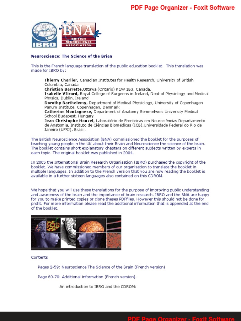 Neuroscience Science of The Brain in French PDF Synapse Axon