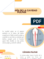 Presentacion - Anatomia de La Cavidad Pulpar