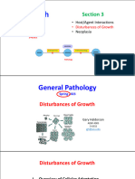 Dist of Growth 1 2023 Lecture