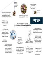 Especificidades Del Campo Formativo de Lo Humano y Lo Comunitario