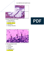 Uas Histologi