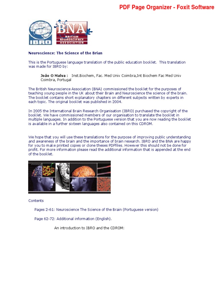 Insana Resumo do Capítulo | Susannah Cahalan, image size:768x1024