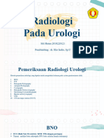 Pemeriksaan Radiologi Pada Urologi