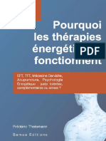 Theismann Frédéric - Pourquoi Les Thérapies Énergétiques Fonctionnent