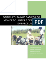 Orizicultura Nos Campos Do Mondego: Antes e Depois Do Emparcelamento