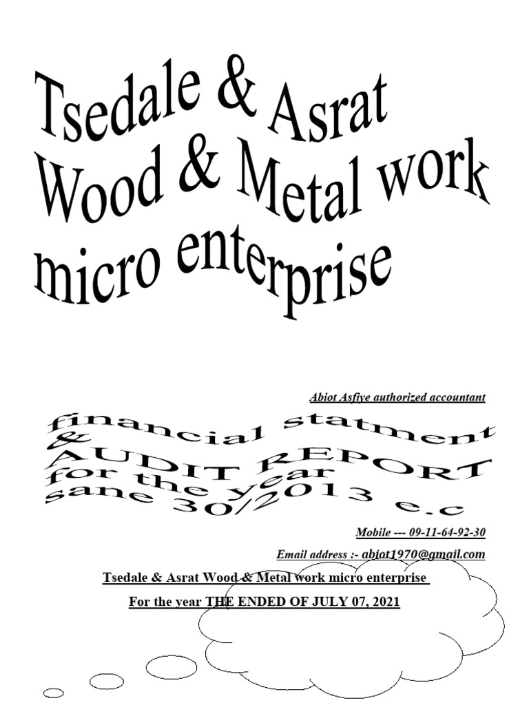 tsedale-asrat-wood-metal-work-micro-enterprise-pdf-audit-expense
