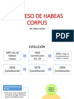 Proceso de Habeas Corpus DR Edyson Quispe