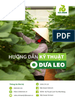 Huong Dan Trong Dua Leo