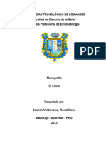 Monografía Sobre El Calcio y Su Importancia en La Odontología