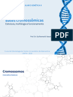 5 Cromossomos p1