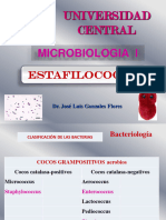 PW - Staphilococcus - 2023 - UNICEN