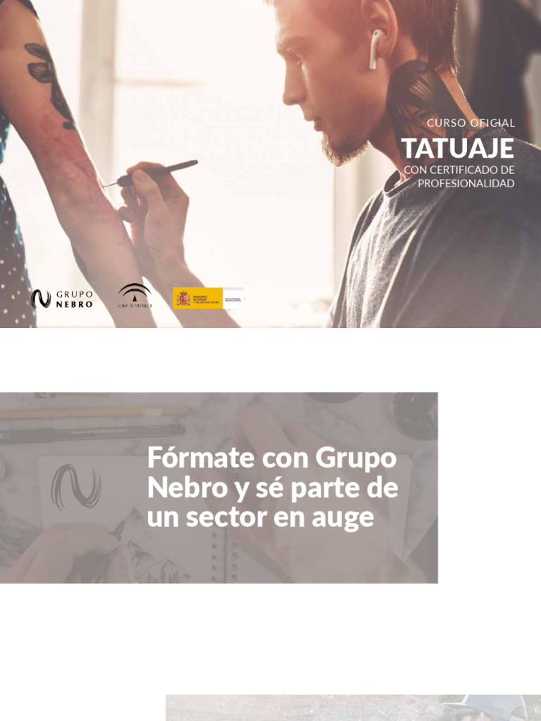 Curso Oficial de Tatuaje con Certificación | PDF | Color