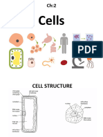 2 Cells