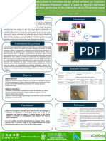 Poster Tecnovación Semillero SEDEICOS REDColsi RCD 2023