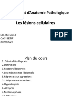 2-La Pathologie Des Lésions Cellulaires