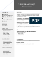 233 Curriculum Vitae Profesional para Trabajo