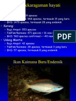 Kaimana New Fish Species