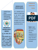 Triptico Junior Comunicacion 2