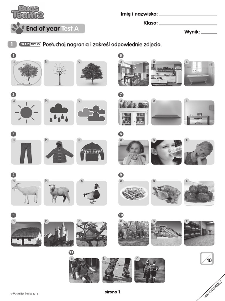 End Of Year Test A Bugs Team 2 Pdf