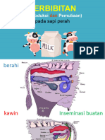 2023 PMTP Paparan 345-Perbibitan