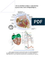 CARDIO - Bases Biofísicas de La Actividad Cardiaca y Músculo Liso Vascular Con Proyección A Bases Fisiopatológicas
