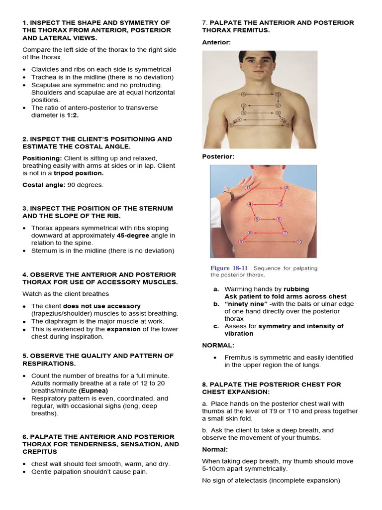 Chest Expansion and Symmetry Assessment | PDF