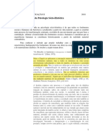 Modelo de Pesquisa em Psicologia Sócio-histórica