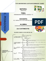 Diseñadores Graficos de La Unidad I y Ii