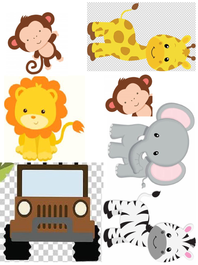 Safari | PDF