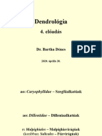 Dendrológia-Dr. Bartha Dénes 2020 Sopron, Hungary, NYME EK
