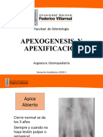 Apicogenesis