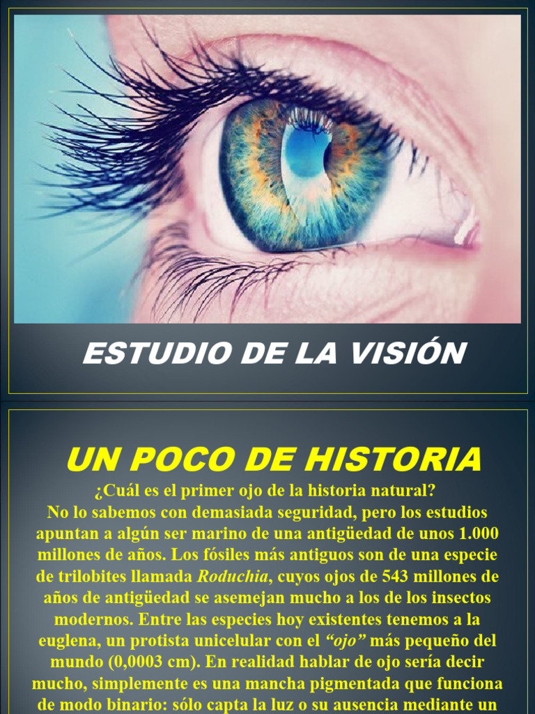 Material 1 - Visión Humana - PPT | PDF