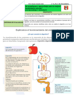 Actividad 3 - Exp. 1 - 13 - 14 de Abril