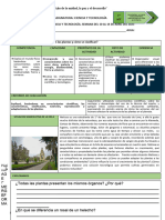 1° SEC. EDA 2 SEMANA 1 Explica CYT 2023 Cómo Son Las Plantas y Cómo de Clasifican