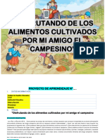 PROYECTO DE APRENDIZAJE Campesino