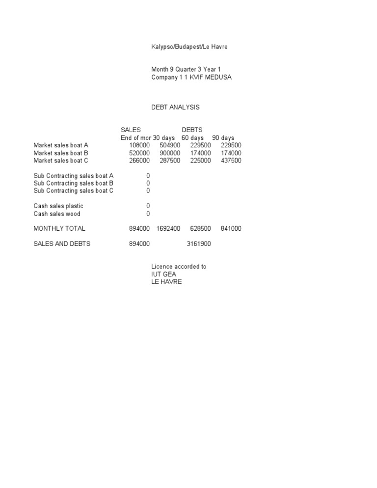 Debt Analysis | PDF