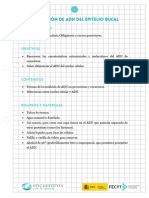 Extracción de ADN Del Epitelio Bucal