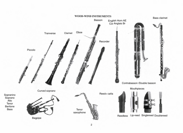 Woodwinds (Card) PDF